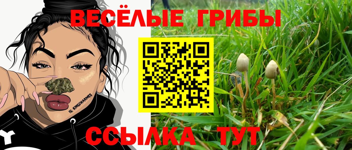 Галлюциногенные грибы мухоморы Урус-Мартан
