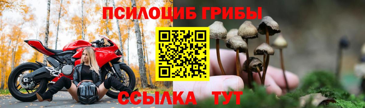 Псилоцибиновые грибы Psilocybe  Вход с VPN  Урус-Мартан  Псилоцибиновые грибы Magic Shrooms 